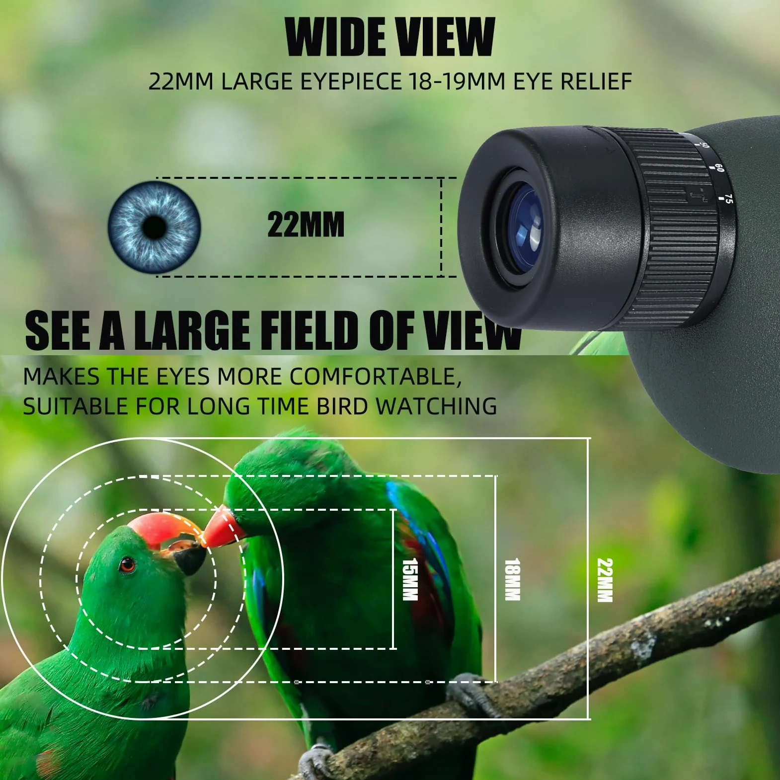 Cannocchiale con Treppiede, Borsa per il Trasporto e Adattatore per Smartphone - Cannocchiale Monoculare Impermeabile per Birdwatching, Tiro a segno, Tiro con Arco, Caccia (75G)