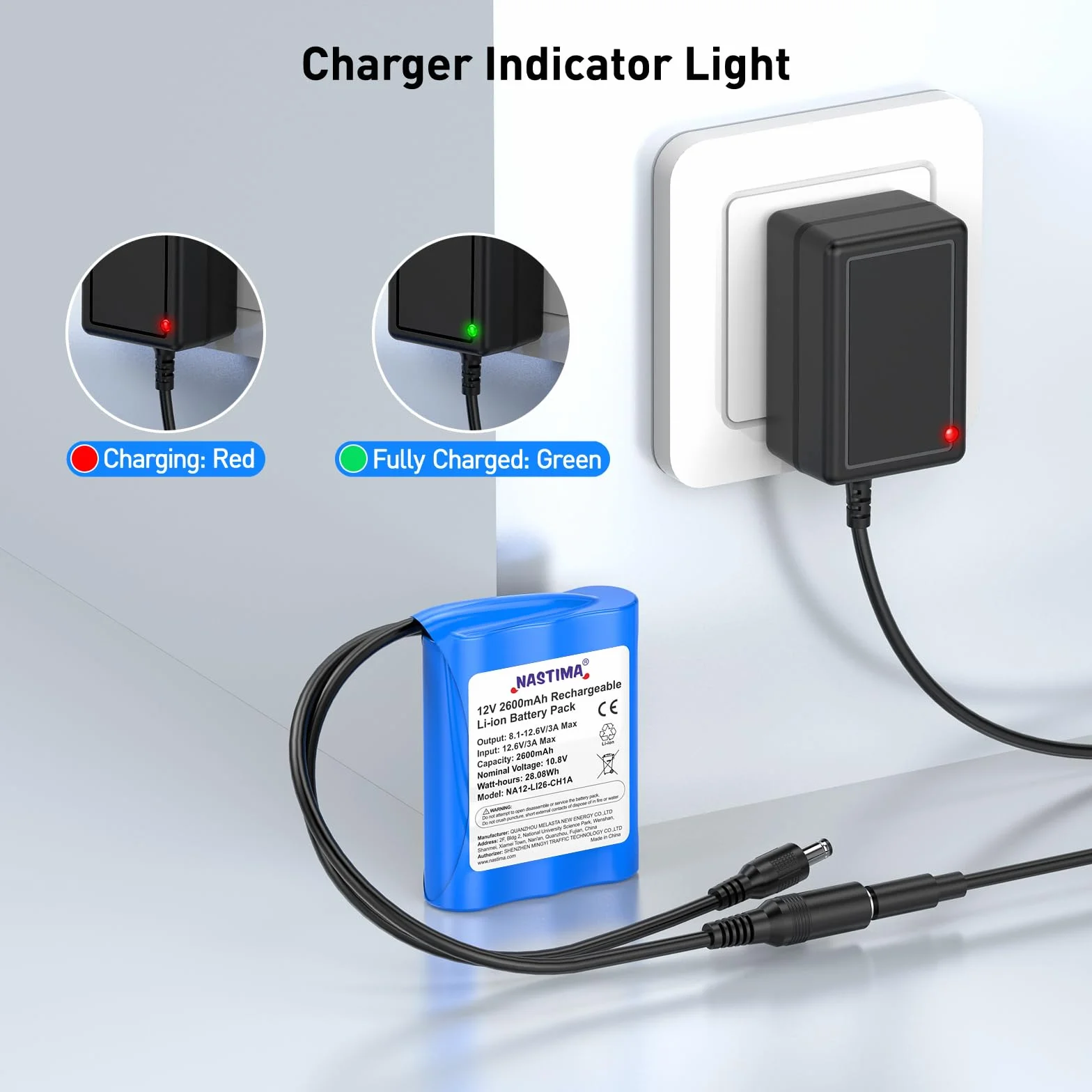 NASTIMA 2600mAh 28,08Wh 12V Batterie Lithium-Ion Rechargeable Adaptée aux Appareils Photo, Caméscopes, Lecteurs MP3, Claviers Électroniques, Routeur, Radio, etc. Chargeur et Connecteur Inclus