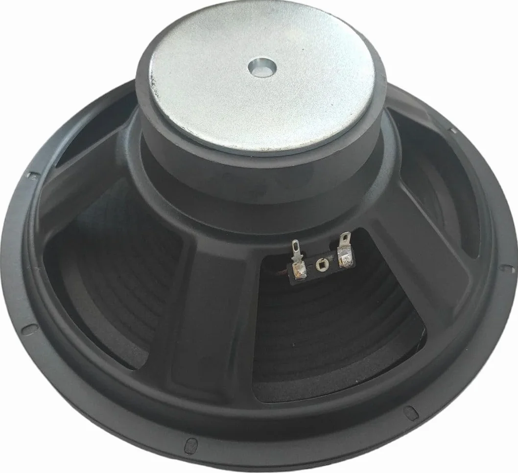 WOOFER 25 CM 8 Ohm 4 ohm 300w ALTOPARLANTE SOSP. MORBIDA 10" POLLICI 26 CM CASSE ACUSTICHE (8 Ohm)