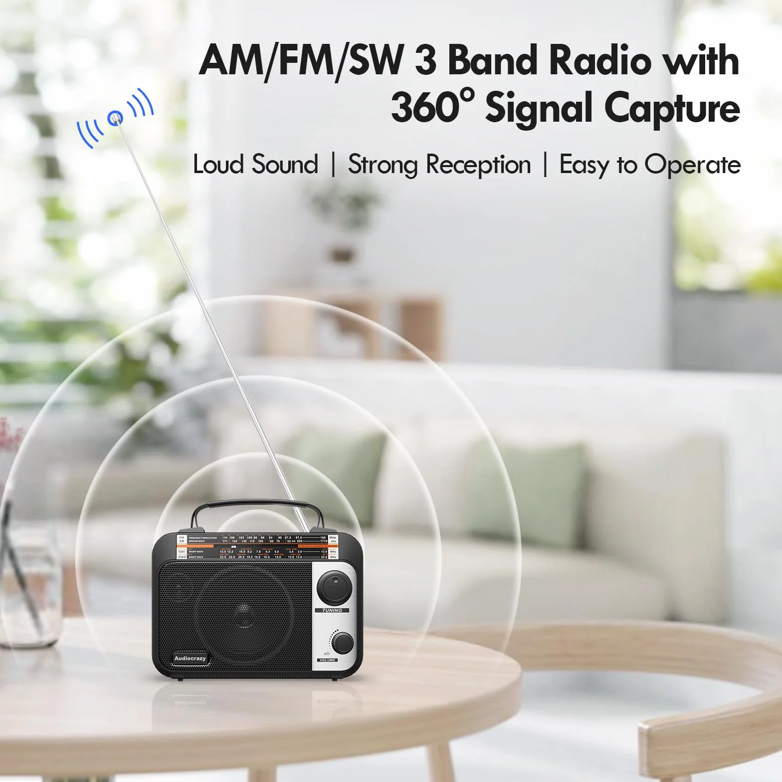 Radio Portatile AM/FM/SW1-2 Multibanda 1800 mAh Batteria Ricaricabile Nero