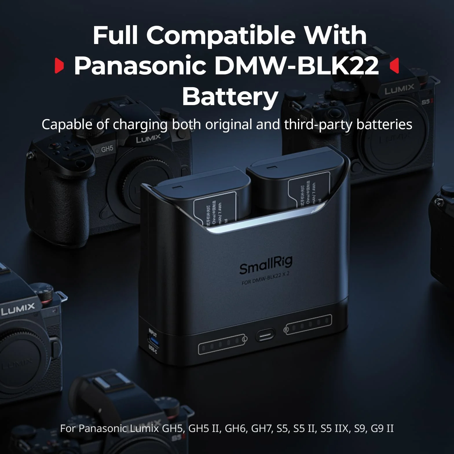 SMALLRIG DMW-BLK22 Caricabatterie per Panasonic, Caricabatterie per fotocamera a doppio slot da 2 ore con porta di USB-C, per Panasonic Lumix GH5, GH5 II, GH6, GH7, S5, S5 II, S5 IIX, S9, G9 II, -5492